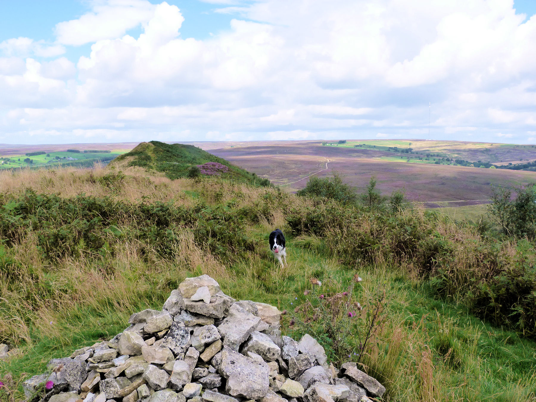 Summit Of Hawnby Hill