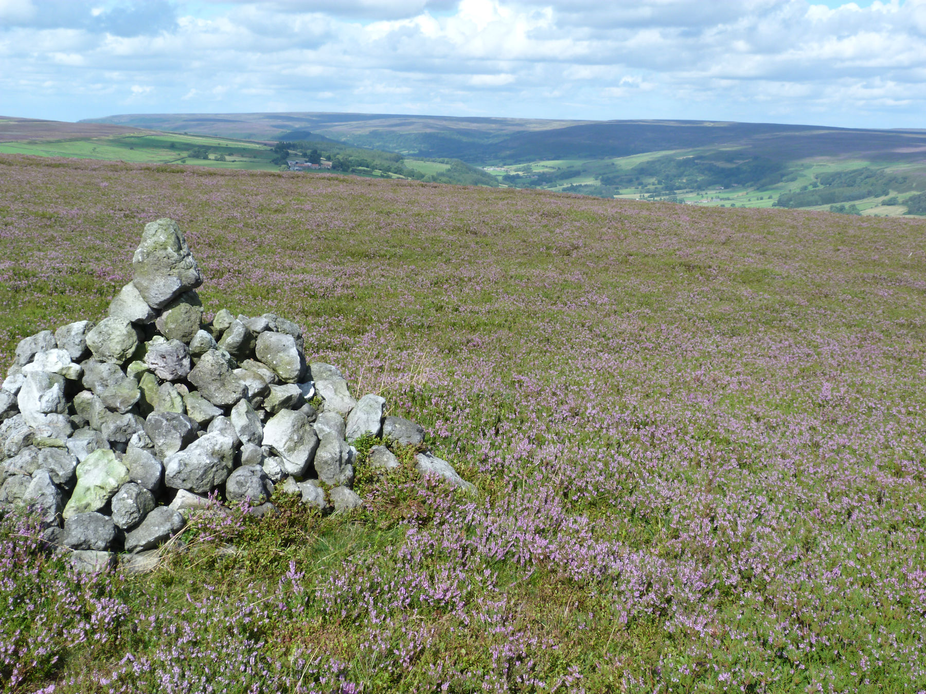 Summit Of Easterside Hill