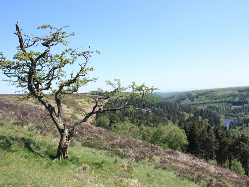 Hawnby From Easterside Hill